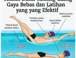 Teknik Dasar Renang Gaya Bebas dan Latihan yang Efektif