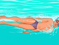 Studi Tentang Teknik Dasar Renang Gaya Punggung dan Latihan Efektifnya